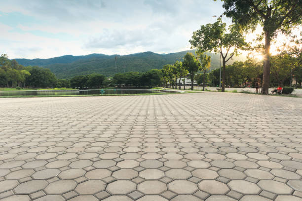 Best Concrete Paver Driveway  in Paloma Creek, TX